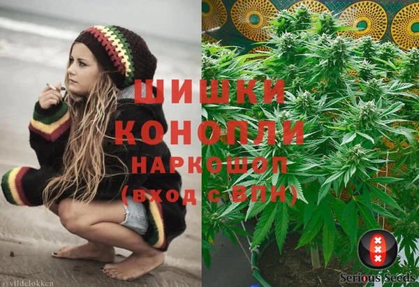 ГАЛЛЮЦИНОГЕННЫЕ ГРИБЫ Балахна