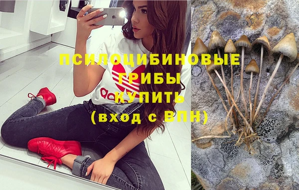 ГАЛЛЮЦИНОГЕННЫЕ ГРИБЫ Балахна
