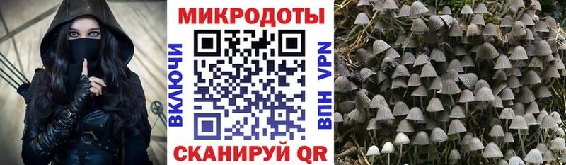 закладки  Лесной  Псилоцибиновые грибы MAGIC MUSHROOMS 